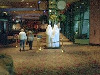 photos 2000-200900447